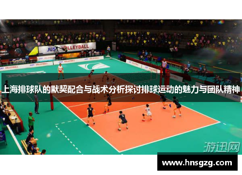 上海排球队的默契配合与战术分析探讨排球运动的魅力与团队精神